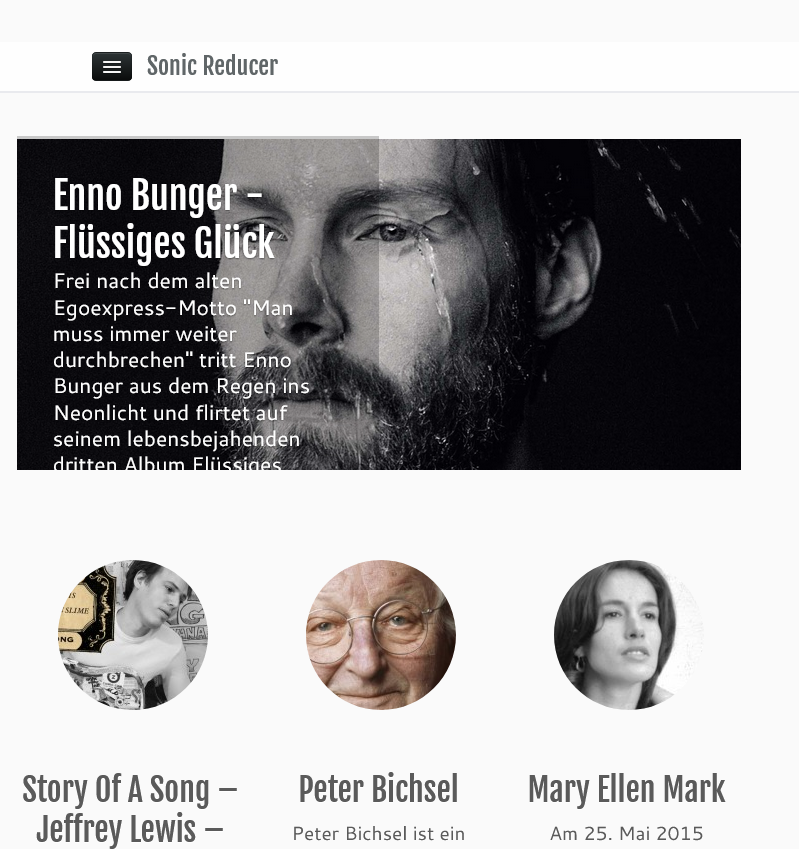 Sonic-Reducer Website 2016
